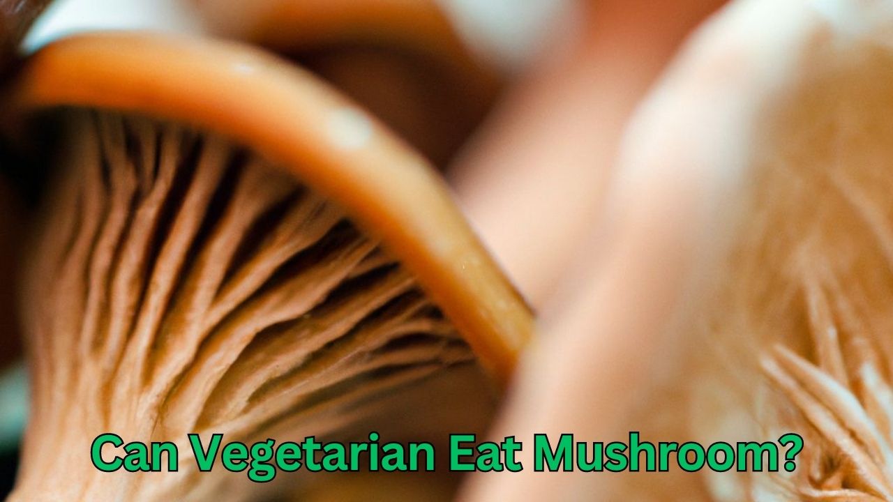 Can Vegetarian Eat Mushroom
